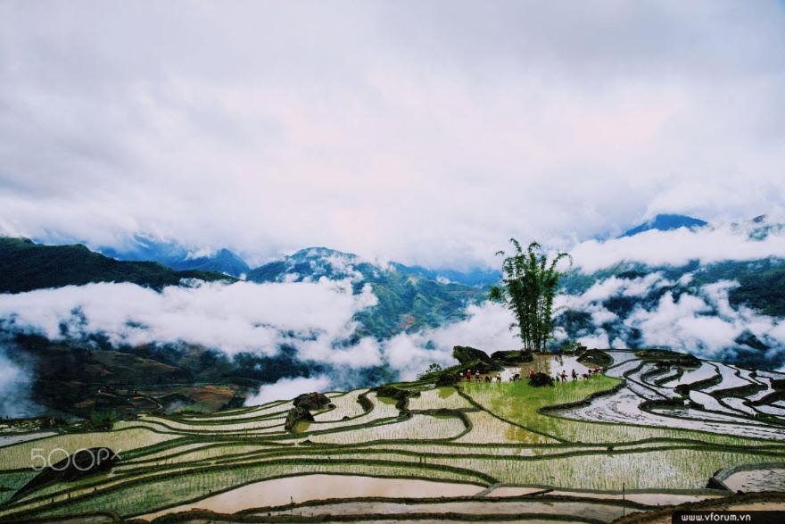 Sapa King Hotel Hung Vuong Hotel Екстер'єр фото